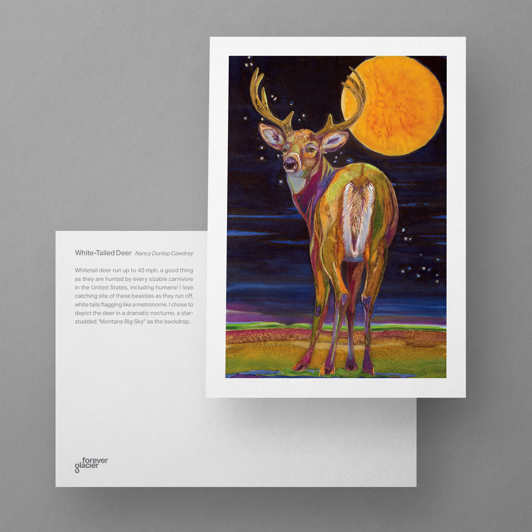 Forever Glacier Postcards by Nancy Dunlop Cawdrey – Cawdrey Gallery
