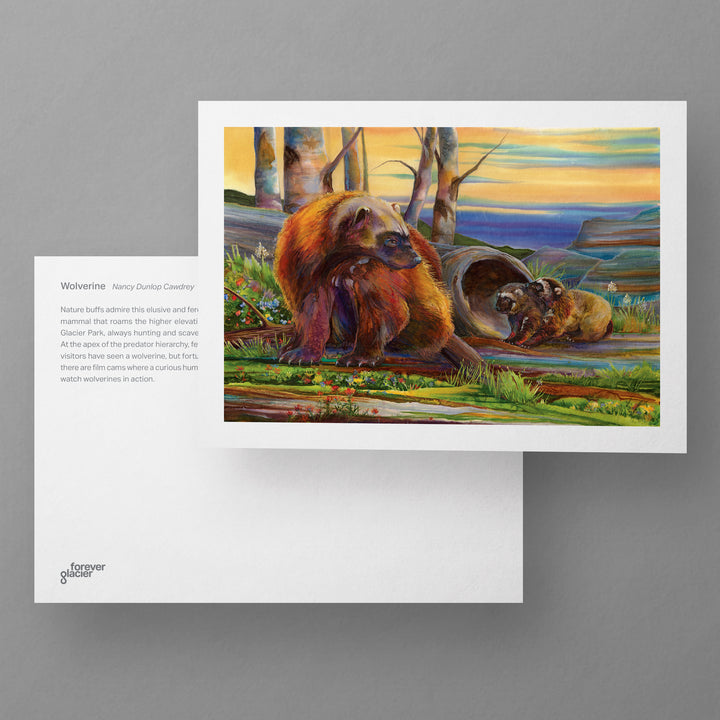 mockup-fg-postcard-
